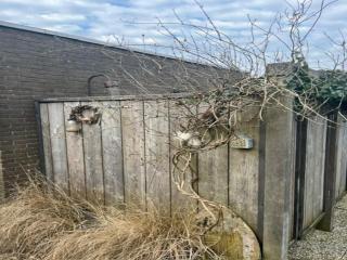 Beautiful holiday home near beach - Sint Maartenszee - 2