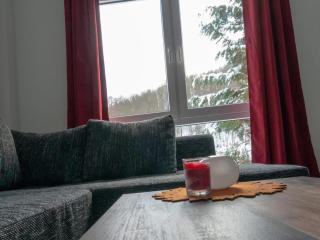 Modern apartment with lake view - Güntersberge - 7