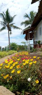 Anda Container House - 5