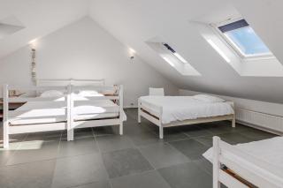 Blauwvoet 50- 0201P - 1