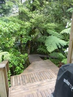 Nikau Cottage, Te Arai, Northland NZ - 1