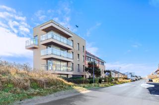 Blauwvoet 50- 0201P - 4