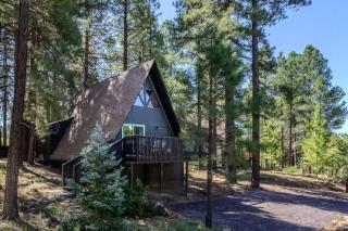 The Needles Cabin Flagstaff - Mountainaire - 4