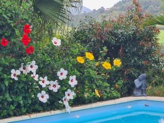 Villa Kezia - Le Marin - Martinique - 3