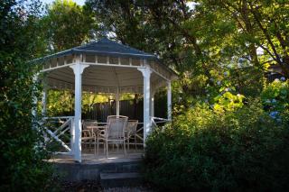 Springview Cottage - Hepburn Springs - 5