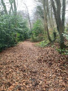 Country Mill House - 4