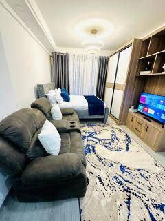 Rahani kilimani studio716-908-233 - Nairobi - 1