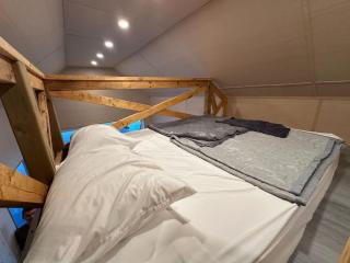 Floating House - Houseboat in Georgian Bay Rockwood - Dillon - 5