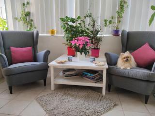 MF5 - Central Cosy Apartment - Sliema - 9