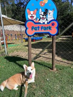 Pousada Serra das Araucárias PetFriendly - CÃOFÉ da manhã Pet - São Roque - 7