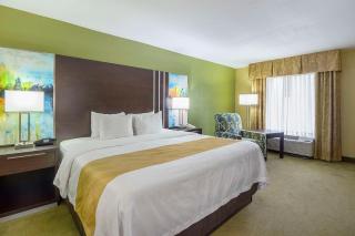 Quality Inn of Paris, TN - Paris - 1