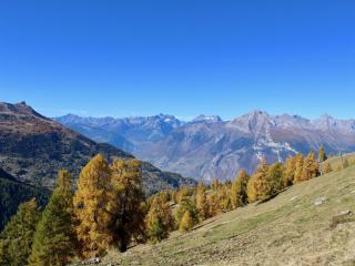 Charming apartment near ski area - Nendaz - 9