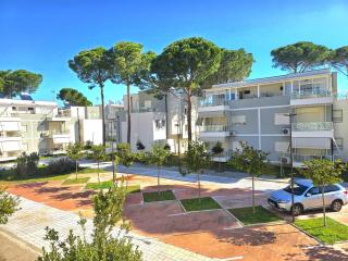 Sunny Beach Apartments - 273 - 3