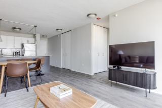 Blueground West Loop gym bbq nr Willis Tower CHI-1215 - 7