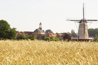 Erve Höwerboer - Ootmarsum - 2