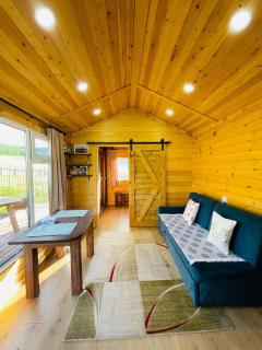 Tiny house in Terelj - Yoliin Hural - 3