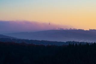 WALDWEIT Rheingau Hotel und Retreat - Kiedrich - 8