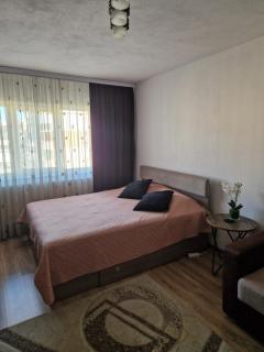 Apartament 2 camere Campulung Muscel - Cîmpulung - 5