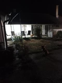 Kovacica-Padina - - 8