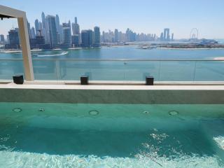 High End 4BR Penthouse with Private Pool and Skyline Views - 7