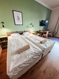 Flat in Zizkov -102- - Prague - 3