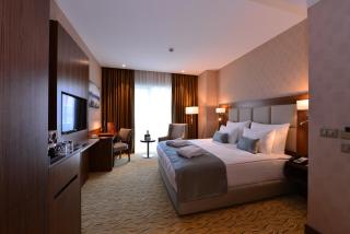 Clarion Hotel Istanbul Mahmutbey - Istanbul - 2