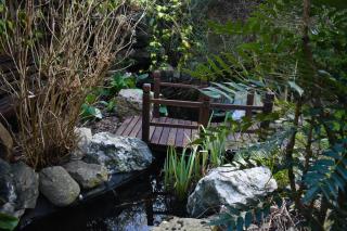 House for 7, garden with pond, 20min from Heathrow - Londra - 1