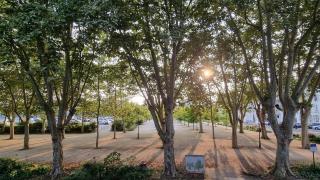 Le Verdun - Agréable studio en centre ville - Pau - 1