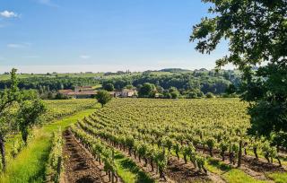 Lovely Home In Les Leves Et Thoumeyra - 2