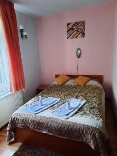 Pensiunea Paco - Cluj-Napoca - 9