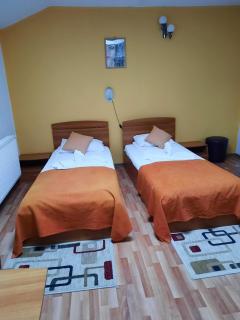 Pensiunea Paco - Cluj-Napoca - 5