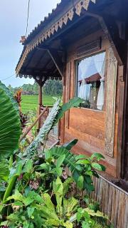 D'Ume Bendoel Homestay - 5