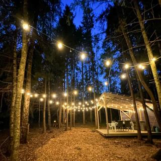 Hanging treehouse farmstay - 4