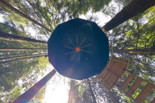Hanging treehouse farmstay - 9