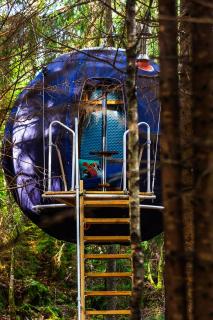 Hanging treehouse farmstay - 8