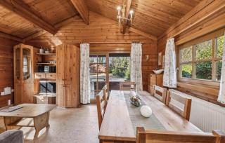 Pet Friendly Home In Haren With Wifi - Haren - 5