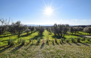 Cozy Apartment In Terranuova Bracciolini - Terranuova Bracciolini - 3