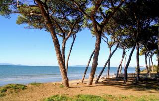 Beautiful Apartment In Piombino - Piombino - 7