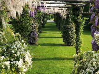 Venicegreen Agricampeggio - 4