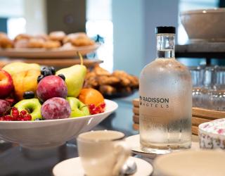 Radisson Hotel Budapest BudaPart - Budapest - 6