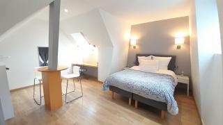 A1 chambre double au domaine de Treuillaud avec piscine - Villers-les-Ormes - 0