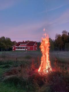 Ferienhaus Goldstück Finnerödja - 6