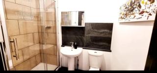 Studio Flat in Vauxhall Zone 1 - Londra - 9