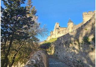 CITE MEDIEVALE- LE REMP'ART - Tout Confort - Accès direct piétons - parking gratuit - Carcassonne - 7