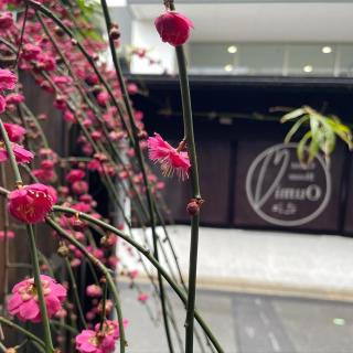 Guest House Oumi - Kyoto - 6