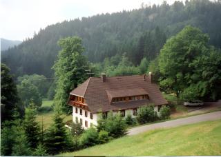 Hirschlehaus Ferienwohnung Bärental - Hinterzarten - 8