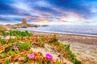 Little Treasure - Bari Sardo - 7