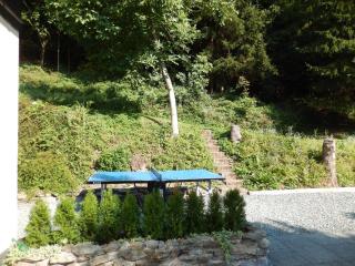 Haus am Wald - Steindorf am Ossiacher See - 9