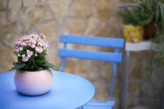 Blue Courtyard HOWME - Bari - 4