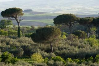 Il Barbagianni - Chieuti - 2